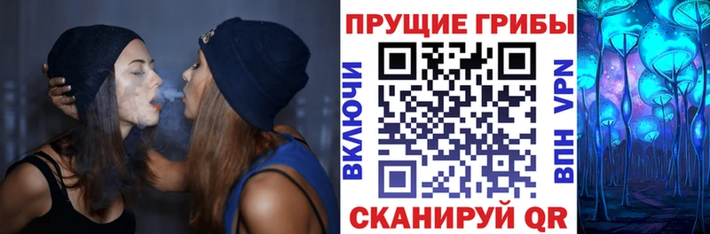 маркетплейс Telegram  где можно купить наркотик  Комсомольск  Псилоцибиновые грибы Magic Shrooms 